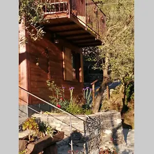  Casa vacanze La Casetta Di Molly Tra Ulivi E Roseto