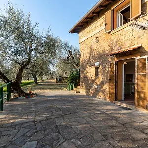 Casetta Maduneta Immersa In Un Oliveto Hébergement de vacances
