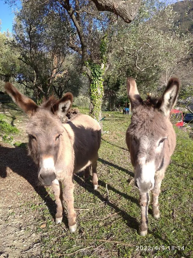 Agriturismo Le Case Rotte Balestrino